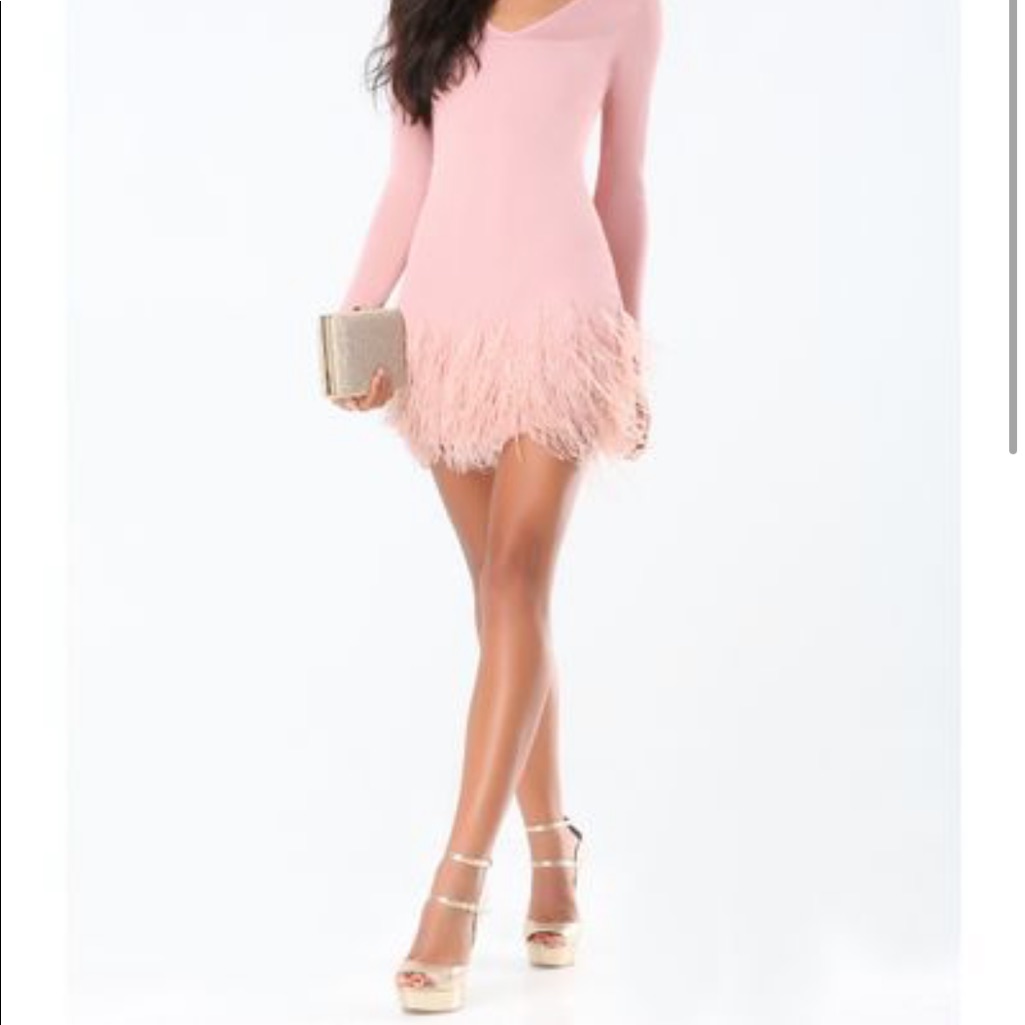 Bebe Feather Sweater Dress